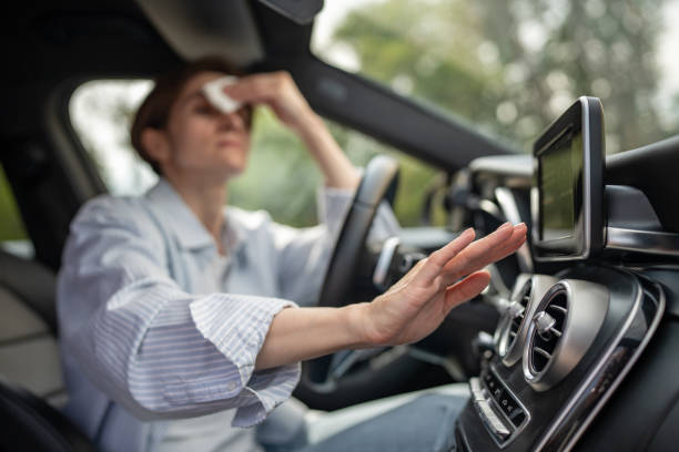 Best Air Conditioning Repair  in Woodlawn Beach, FL